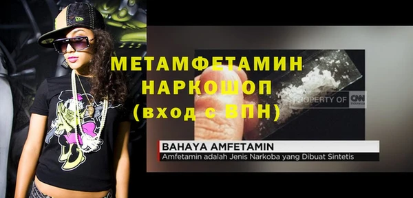 стаф Аркадак