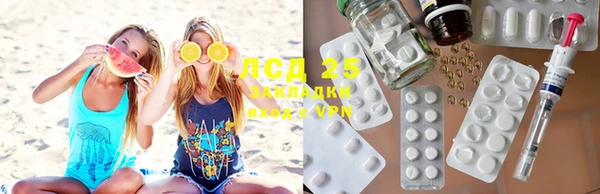 стаф Аркадак