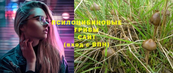 тгк Арсеньев