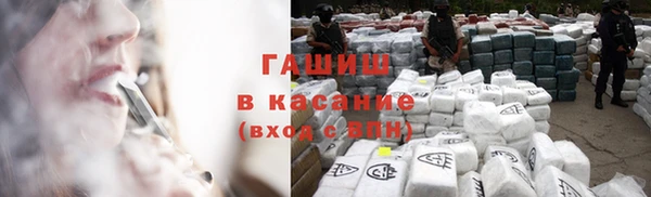 стаф Аркадак